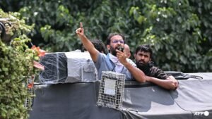 India activists demand release of detained ‘cockroach’ protesters
