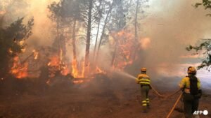Devastating wildfires send 267,000 fleeing in France and Spain