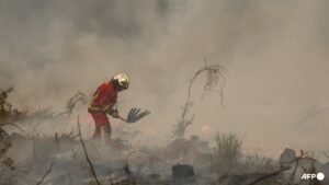 Wildfires overwhelm exhausted firefighters in France and Spain