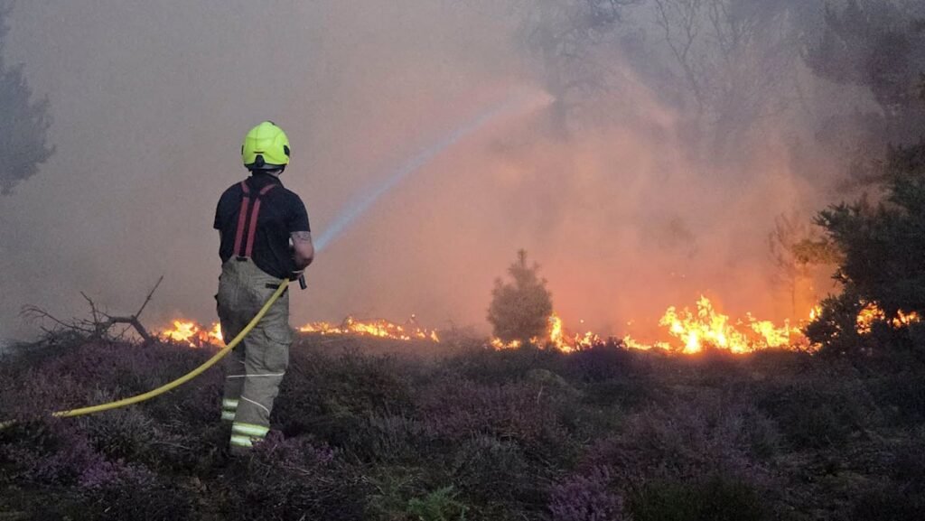 Firefighters in eastern England make ‘progress’ battling ‘dynamic’ wildfire