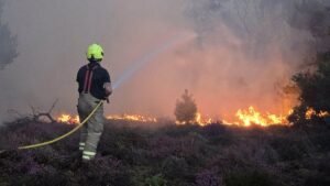 Firefighters in eastern England make ‘progress’ battling ‘dynamic’ wildfire