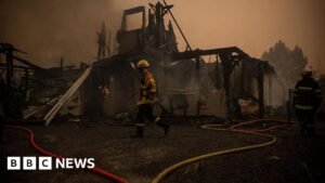 France orders evacuation of Cap Ferret peninsula as hundreds flee wildfires