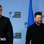 Ukraine’s ousted defence chief rejects Zelensky’s job offer