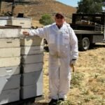 How this 70-year-old honey bee farmer is keeping his family farm alive: ‘We completely rely on Mother Nature’