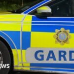 Carrickmacross: Two arrested in investigation into dissident republican activity
