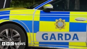 Carrickmacross: Two arrested in investigation into dissident republican activity