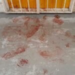 Man poured boiling oil on roommate and stabbed him to death, gets life imprisonment