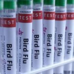 New Zealand detects H5 bird flu