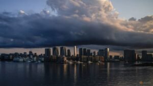 Woman arrested in Japan for sewing shut housemate’s lips