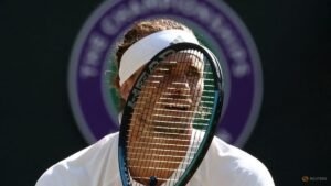 Flawless Zverev cracks Fritz code to reach Wimbledon semi-finals
