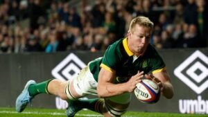 Du Toit hails record-breaker Erasmus ahead of Scotland clash