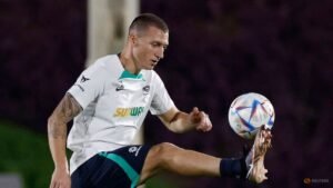 Australia striker Mitch Duke ends international career