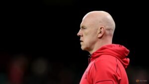 Wales make six changes for Nations Championship test against South Africa