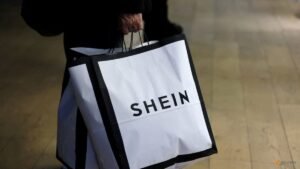 Shein secures nod from Hong Kong listing committee for IPO, sources say