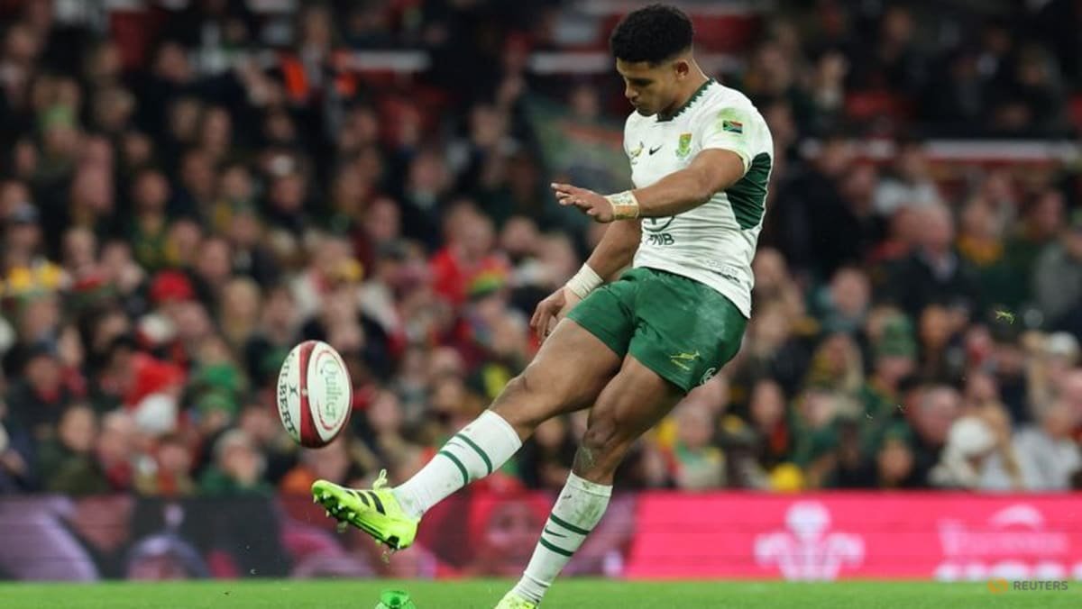 Erasmus confirms Feinberg-Mngomezulu will be fit to face Argentina
