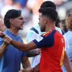 Argentina assistant Ayala says sorry for Olmo incident after World Cup final