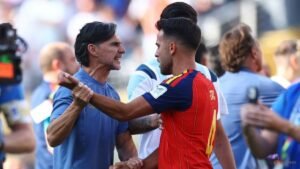 Argentina assistant Ayala says sorry for Olmo incident after World Cup final