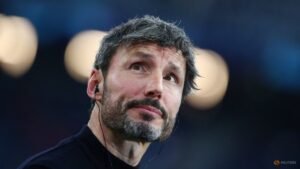 Belgium name Van Bommel as new coach