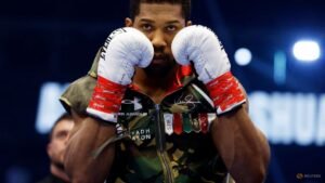 Joshua bounces back to secure knockout win over Prenga