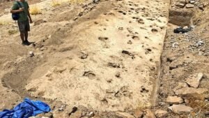 Kenyan footprints shed light on prehistoric human cousin Paranthropus
