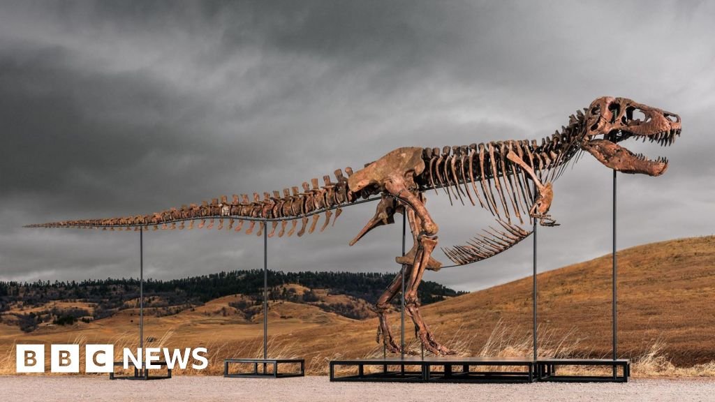 Tyrannosaurus Rex most expensive dinosaur ever sold