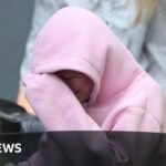 Law student charged after bomb discovery in car will be bailed