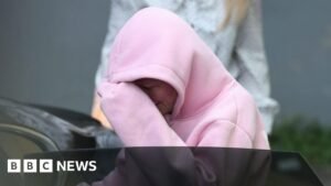 Law student charged after bomb discovery in car will be bailed