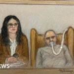 Syrian ex-colonel accused of crimes against humanity deemed ‘unfit to plead’