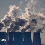 EU proposes slowing down cuts to carbon emissions for businesses