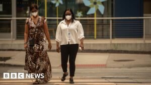 US Republicans accuse Canada of wildfire inaction