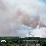 Two French firefighters die tackling blaze near Bordeaux airport
