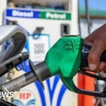 E20: India is adding ethanol to petrol – but many drivers are unhappy