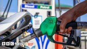 E20: India is adding ethanol to petrol – but many drivers are unhappy