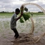 How two wars and El Nino could fuel world hunger