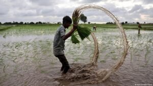 How two wars and El Nino could fuel world hunger
