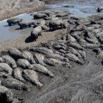 Is Africa ready for El Nino?