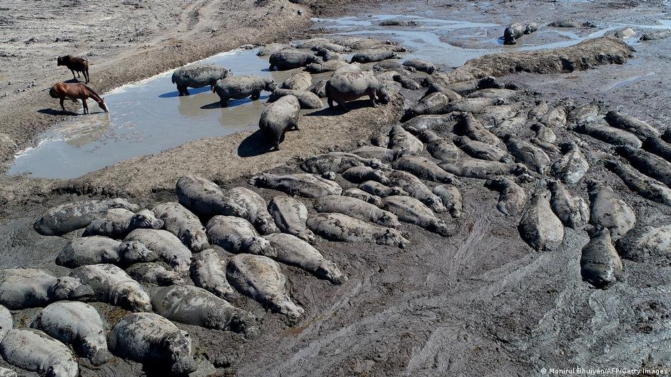 El Nino: Is Africa ready?