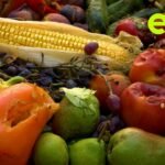 The fight against food waste in Uganda