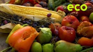 The fight against food waste in Uganda