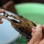 In Japan, grief finds a home inside a pearl