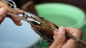 In Japan, grief finds a home inside a pearl