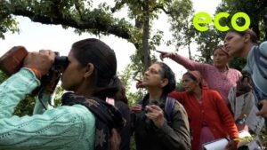 The environmental changemakers of India