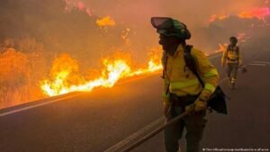 Blaze in Spain: Deadly wildfire tears through Andalusia