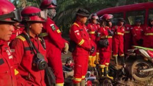 Indonesia’s battle with slash and burn farming