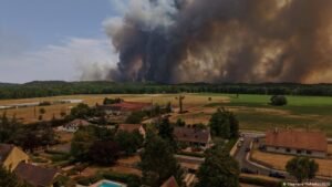 Wildfire near Paris tears through Fontainebleau Forest