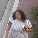 Monaco assassination plot takes a new turn