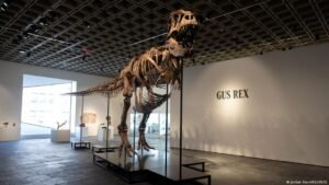 T. rex ‘Gus’ sells for record-breaking $50.1 million