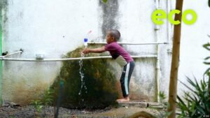 Creative solutions to urban heat