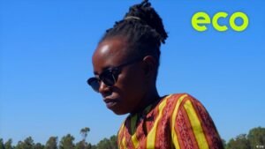 Plant-based traditional food in Zimbabwe