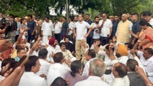 India’s cockroach movement undeterred by police violence